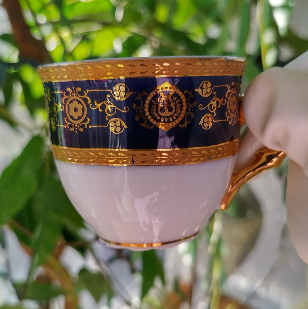 Vintage A.I Czcch Republic Porcelain 22k Trim Teacup